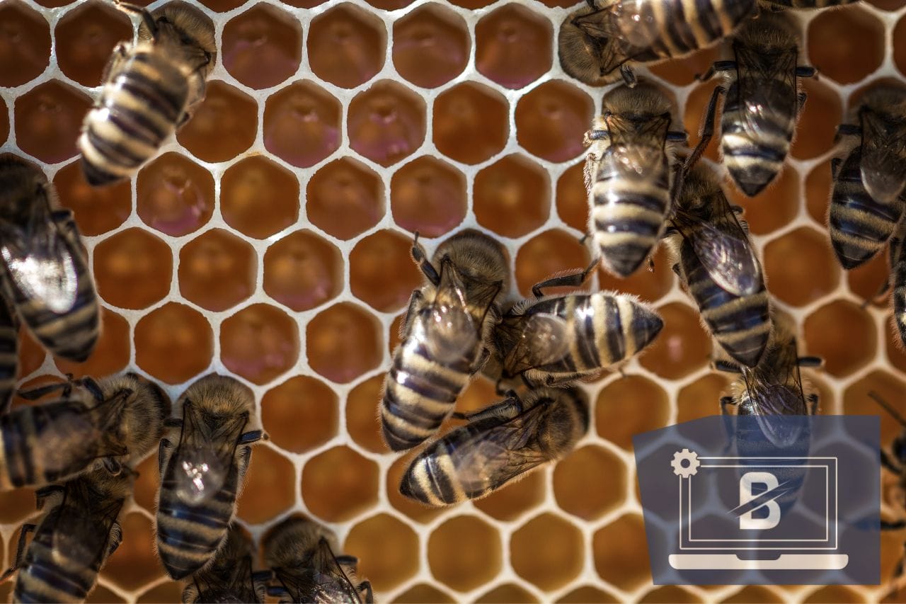 Beeswax Homemade Alternatives