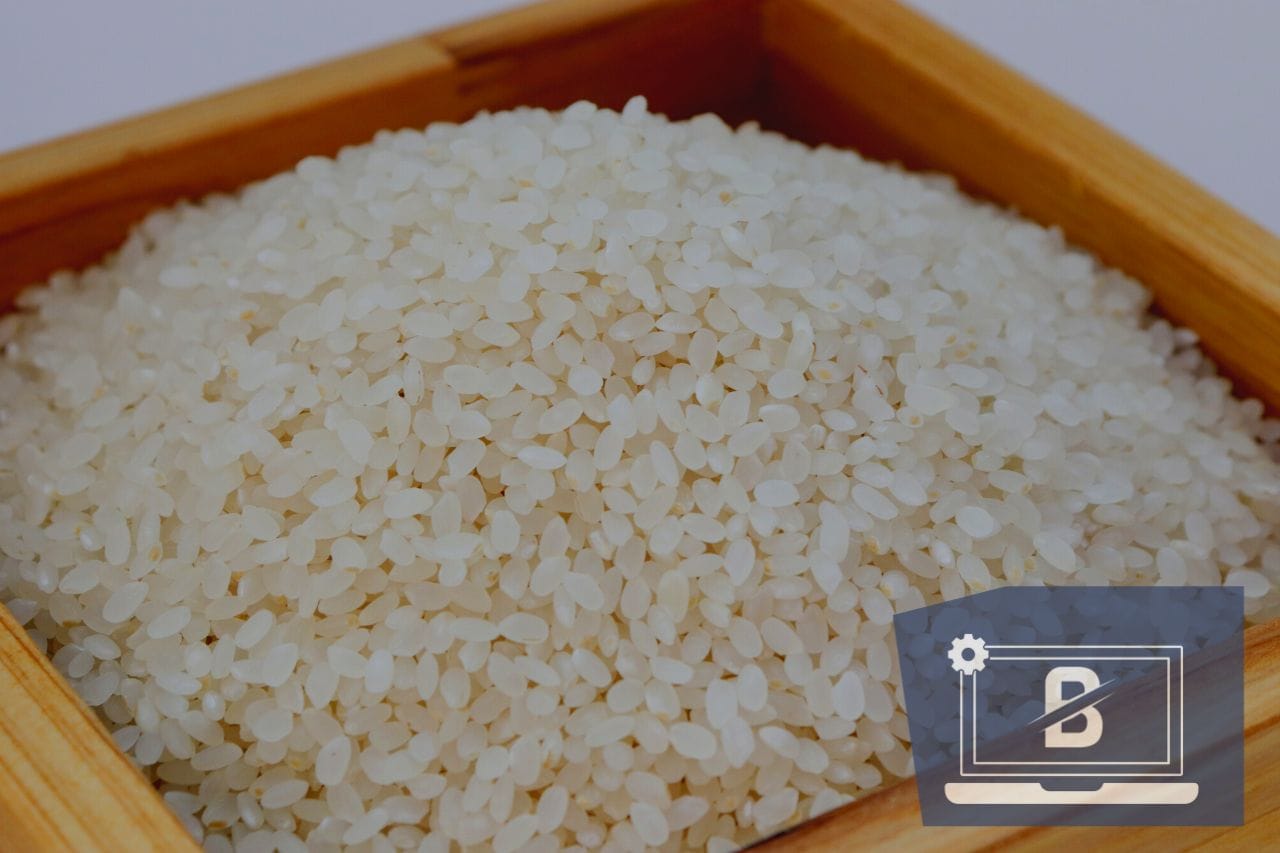 Rice Therapy for Wet Devices